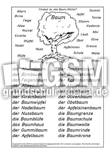 Baum-Wörter-Lösung.pdf